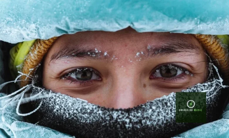 IcePornCasting