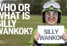 Silly Wankok